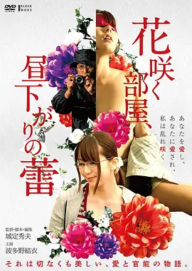 小姐 电影海报